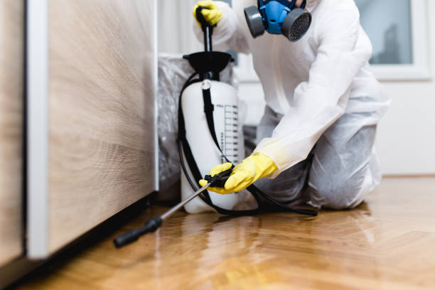 Best Wildlife Control Services  in Clermont, GA