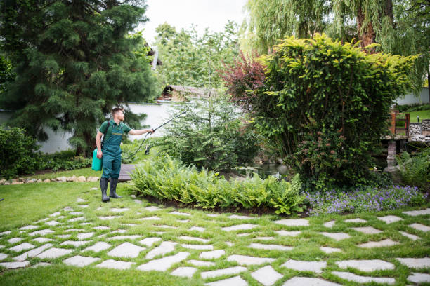 Best Pest Control for Homes  in Clermont, GA