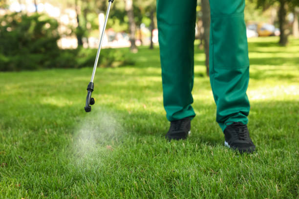 Best Affordable Pest Control Services  in Clermont, GA