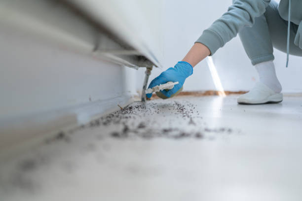 Wildlife Control Services in Clermont, GA